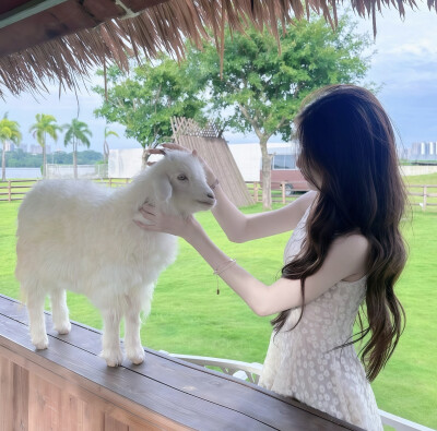 拿图点收藏加关注