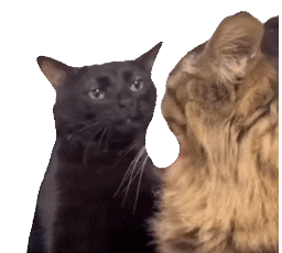 动图表情包·图源微博