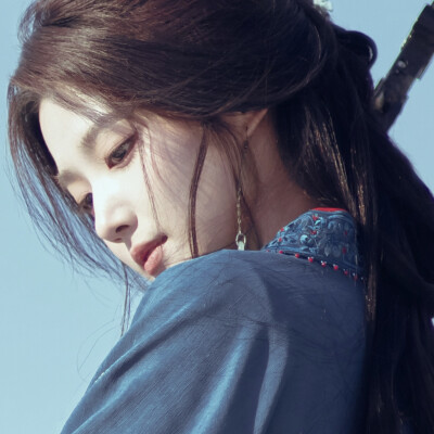 我于窗中窥伤鹤，恰如仰头见春台