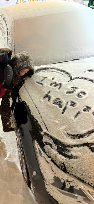 雪花是天空揉碎的云朵. * ･
#ins风壁纸#