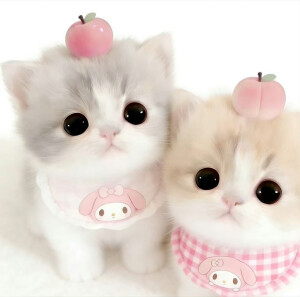 可爱情侣头像
cr.我的萌天下无双 ​​​
#可爱头像##闺蜜头像##情侣头像#