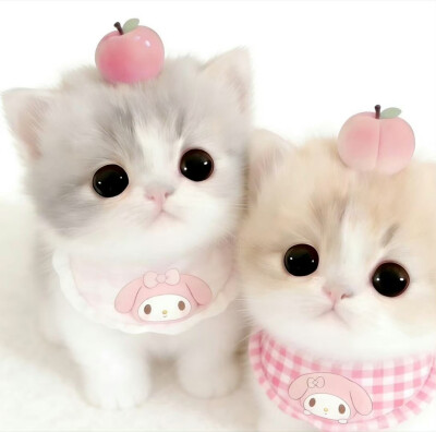 可爱情侣头像
cr.我的萌天下无双 ​​​
#可爱头像##闺蜜头像##情侣头像#