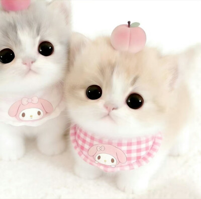 可爱情侣头像
cr.我的萌天下无双 ​​​
#可爱头像##闺蜜头像##情侣头像#