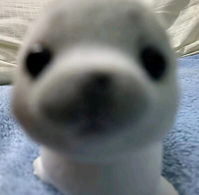 ：