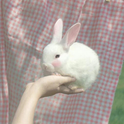 情侣头像