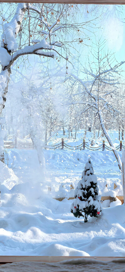 壁纸·图源微博