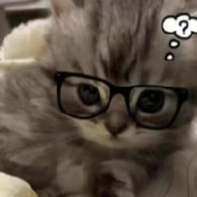 小猫咪头像 天大地大小猫咪最大