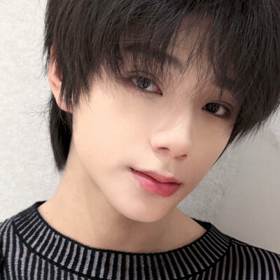 申请成为哥哥的法友