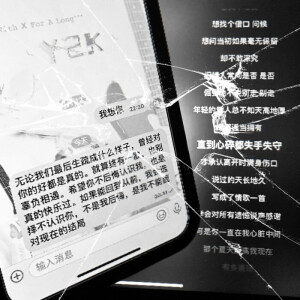 你透支了我似水年华里的太多 我的爱 我的眼泪 我的所有感性部分