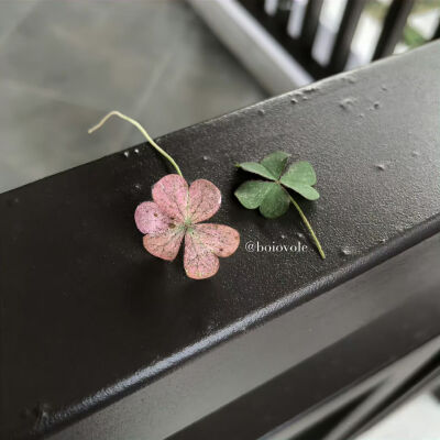 Nan//精选主页图 键盘壁纸 高清微信背景图 INS objects极简 文字 黑白 小众 氛围感 