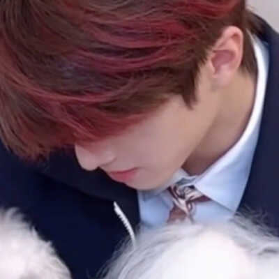 狗男2.0（红毛版）