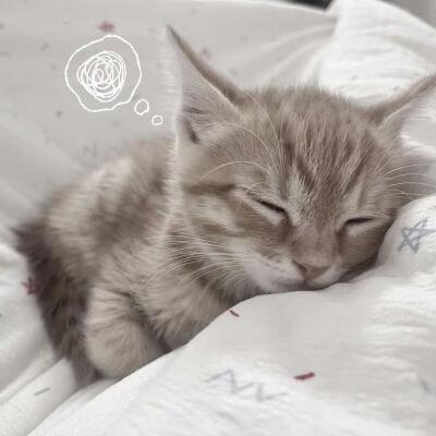 Nan//精选主页图 键盘壁纸 高清微信背景图 INS objects极简 文字 黑白 小众 氛围感 