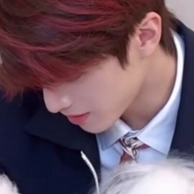 狗男2.0（红毛版）