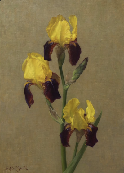 亨丽埃塔·阿贝尔·史密斯是一位专精于写实肖像与静物绘画的英国当代艺术家，采用油画和炭笔表达形式。她在意大利佛罗伦萨查尔斯·塞西尔学院接受传统古典写生训练，之后融合比例法，将作品定义为“经历时间沉淀的花卉…