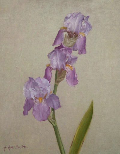 亨丽埃塔·阿贝尔·史密斯是一位专精于写实肖像与静物绘画的英国当代艺术家，采用油画和炭笔表达形式。她在意大利佛罗伦萨查尔斯·塞西尔学院接受传统古典写生训练，之后融合比例法，将作品定义为“经历时间沉淀的花卉…