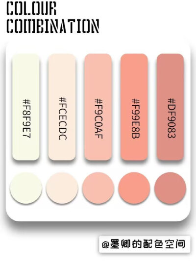 肤色系色卡