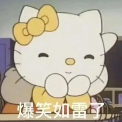 Kitty表情包