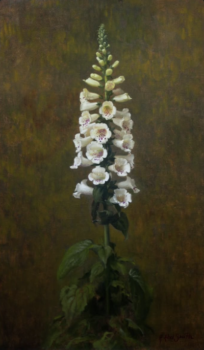亨丽埃塔·阿贝尔·史密斯是一位专精于写实肖像与静物绘画的英国当代艺术家，采用油画和炭笔表达形式。她在意大利佛罗伦萨查尔斯·塞西尔学院接受传统古典写生训练，之后融合比例法，将作品定义为“经历时间沉淀的花卉…