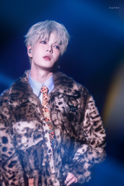 王栎鑫 251227 X巡回演唱会 成都站