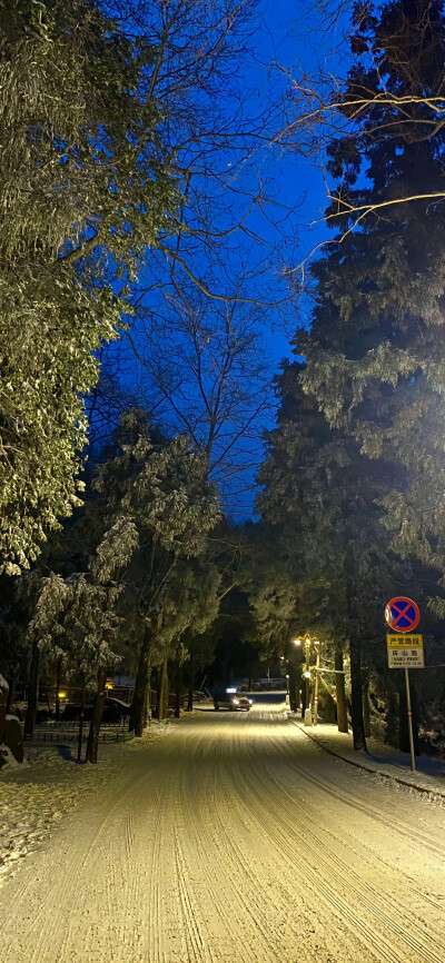 壁纸·图源微博