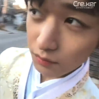 爱一只猪就应该只爱一只猪