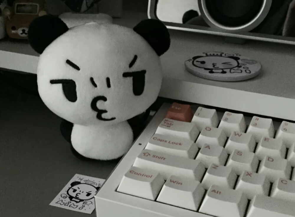 爱她给我两个不真实的世界