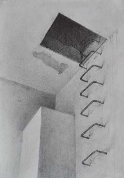 王家辉 《天梯》 26cm×37cm 
纸本铅笔  2020年  指导教师：余陈
