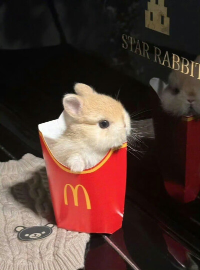 审兔积累
图源：栗子
#可爱头像##闺蜜头像#