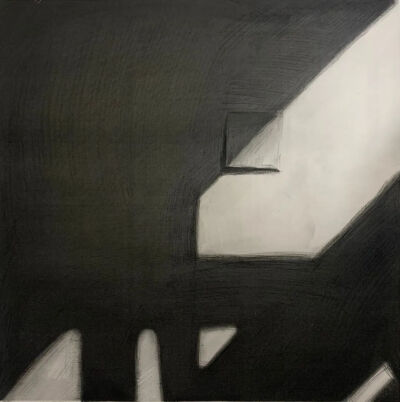 郭佳文 《影》 40cm×40cm 
纸本炭笔  2020年  指导教师：杨澄
