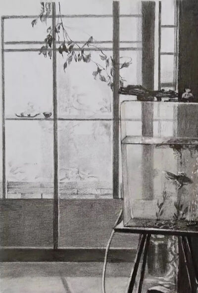 徐郑天 《窗边的绿植1》 25cm×25cm 
纸本铅笔  2020年  指导教师：余陈
