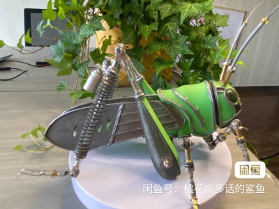 朋克昆虫