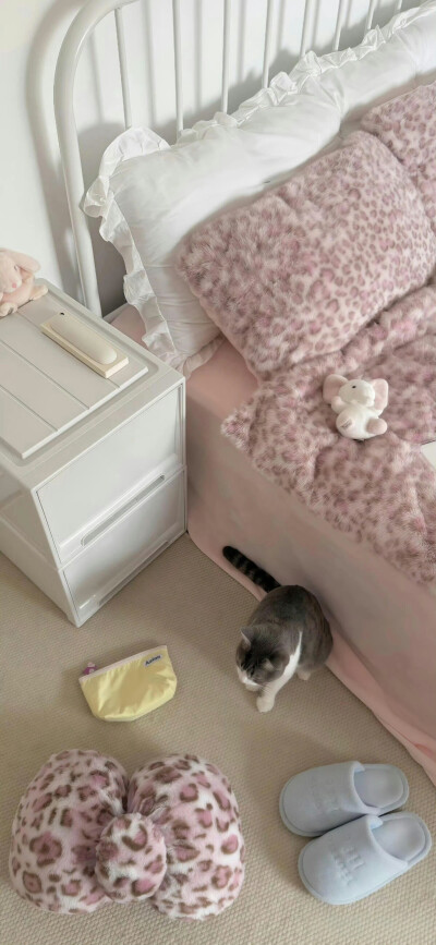 小清新壁纸分享 .ᐟ.ᐟ