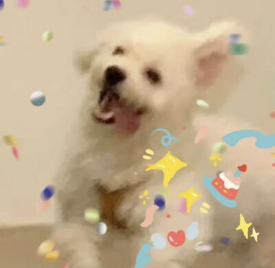 侵权删