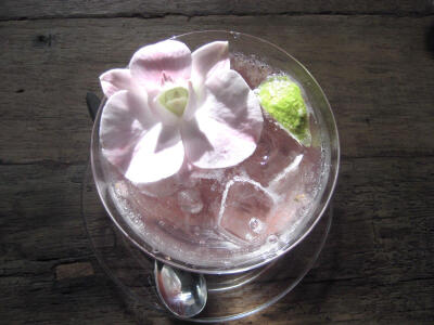 粉色蝴蝶兰饮品