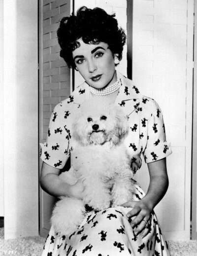 Elizabeth Taylor ​​​