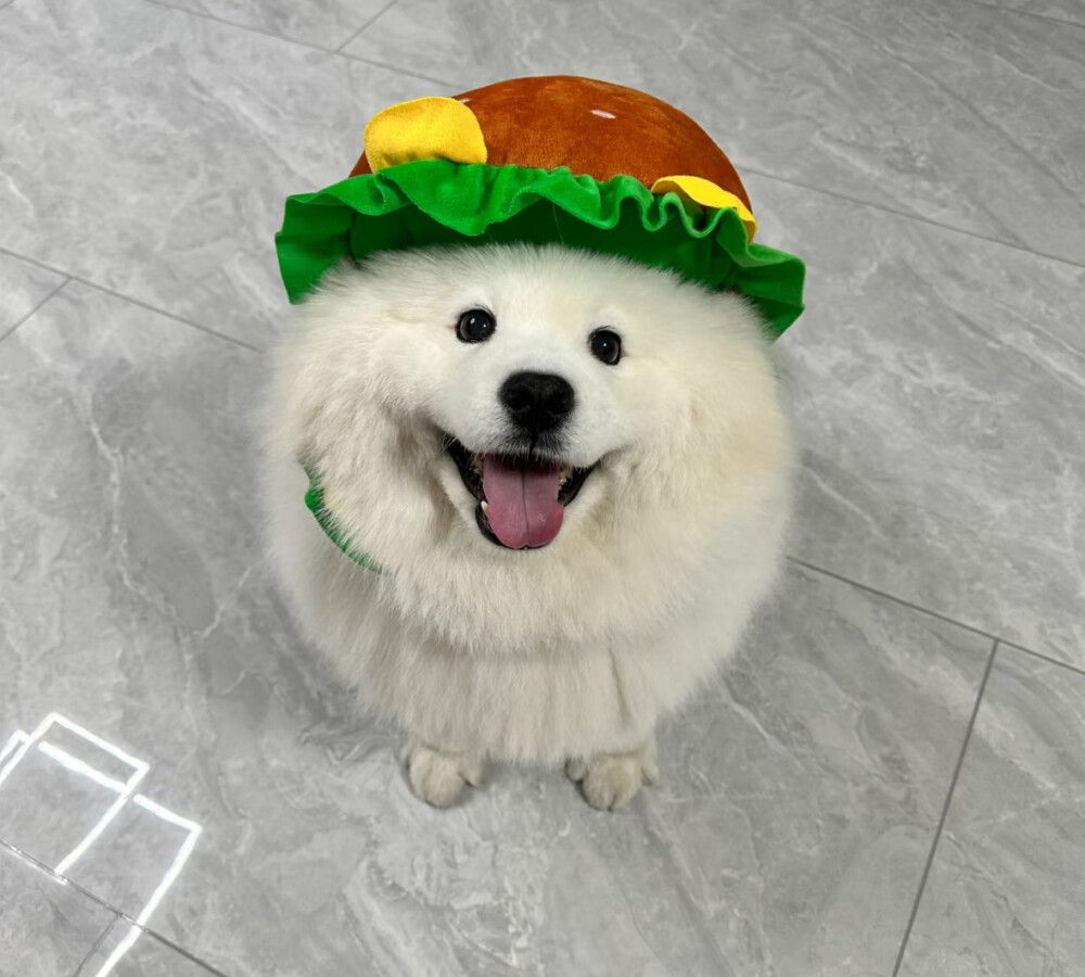 抖音 电动罐