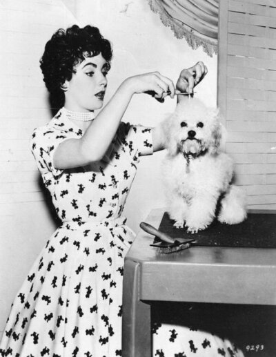 Elizabeth Taylor ​​​