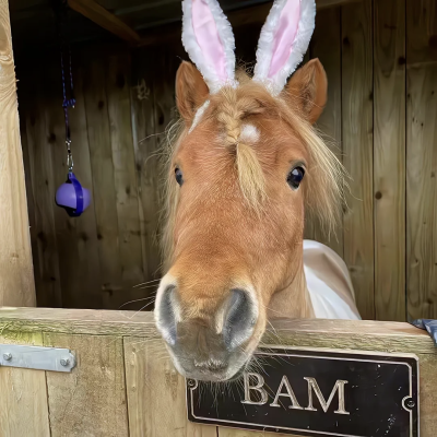 ⁽⁽ (๑˃̶͈̀ ᗨ ˂̶͈́) ⁾⁾