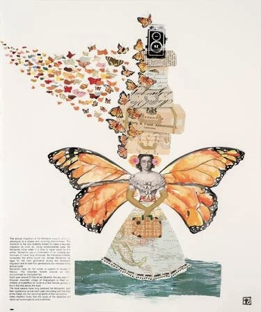 Tanya P Johnson 是一位视觉艺术家，现居英国哥伦比亚省斯洛坎谷，部分时间居住在南非开普敦。
她出生于肯尼亚内罗毕，在开普敦长大。
1991 南非开普敦大学美术学士（荣誉）
2016 加拿大温哥华马拉斯皮纳版画公司…