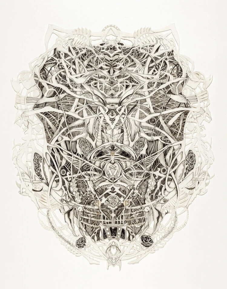 Tanya P Johnson 是一位视觉艺术家，现居英国哥伦比亚省斯洛坎谷，部分时间居住在南非开普敦。
她出生于肯尼亚内罗毕，在开普敦长大。
1991 南非开普敦大学美术学士（荣誉）
2016 加拿大温哥华马拉斯皮纳版画公司石版画指导
