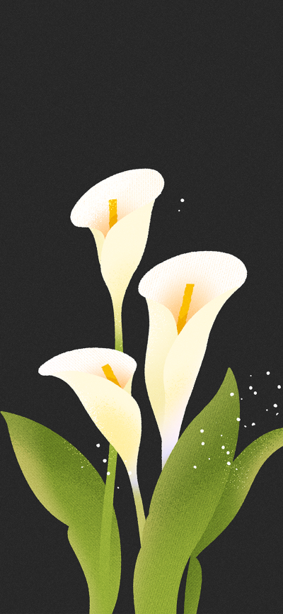 花朵壁纸
图片来自网络，侵删