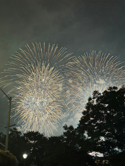 新年背景图 烟花背景图