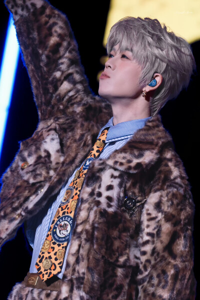 王栎鑫 251227 X巡回演唱会 成都站