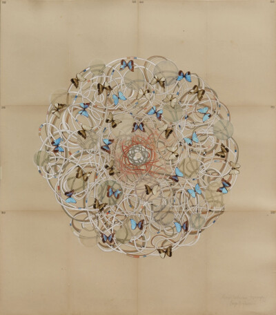 Tanya P Johnson 是一位视觉艺术家，现居英国哥伦比亚省斯洛坎谷，部分时间居住在南非开普敦。
她出生于肯尼亚内罗毕，在开普敦长大。
1991 南非开普敦大学美术学士（荣誉）
2016 加拿大温哥华马拉斯皮纳版画公司…