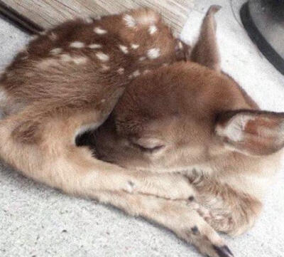 审美积累中。。。