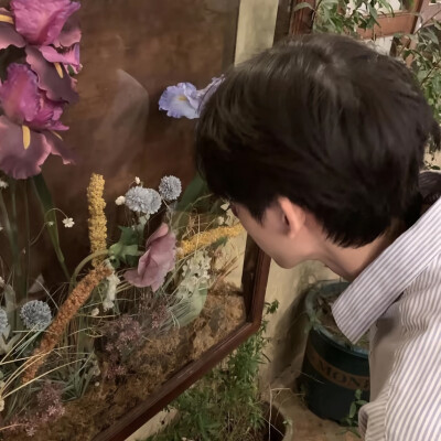 男生头像
你又逃避 那我买好蛋糕等你