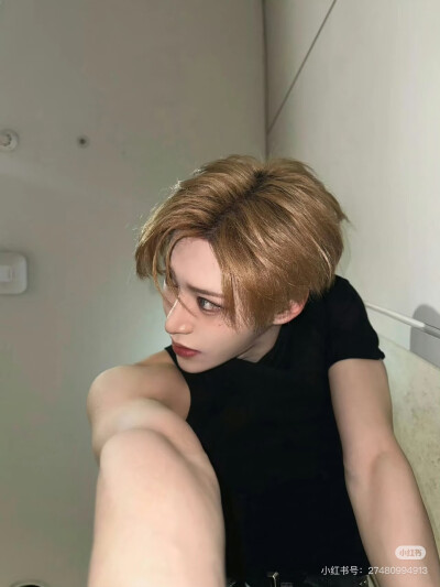 张家豪