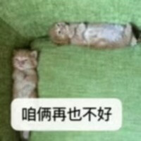 表情包