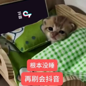 表情包