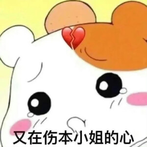 表情包